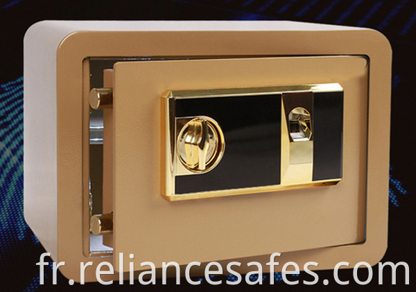 Security Biometric Fingerprint safe